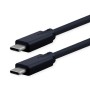 ROLINE 11.02.9076-10 cavo USB 1 m USB 3.2 Gen 2x2 USB C Nero (RO11.02.9076)