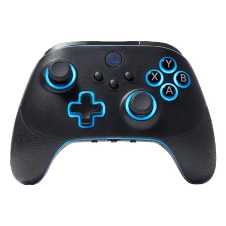 PowerA PCGP0382-01 periferica di gioco Nero RF/USB Gamepad Analogico/Digitale PC