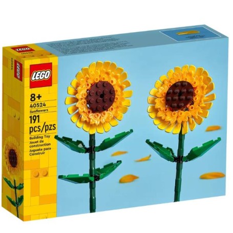 GIRASOLI (40524)