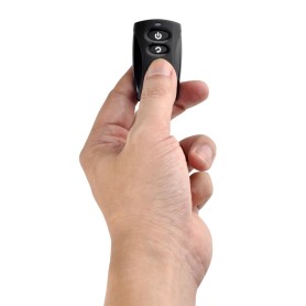 Silverstone ES02-USB telecomando RF Wireless PC Pulsanti (SST-ES02-USB)