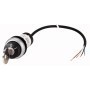 Eaton C22-WRS-MS1-K10-P62 Chiave (186263)