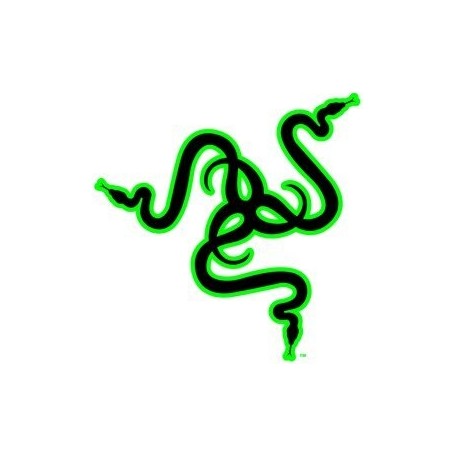 Razer Pro Click V2 Schwarz - Ergonomische kabellose Maus für Rechtshänder (RZ01-03900100-R3M1)