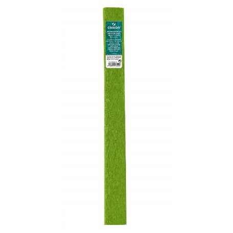 Canson 200002414 carta crespa Verde (C200002414)