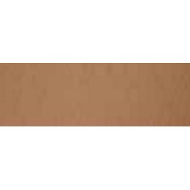 Favini Bristol Color 200 cartone 10 fogli 200 g/m² (A3580A1)
