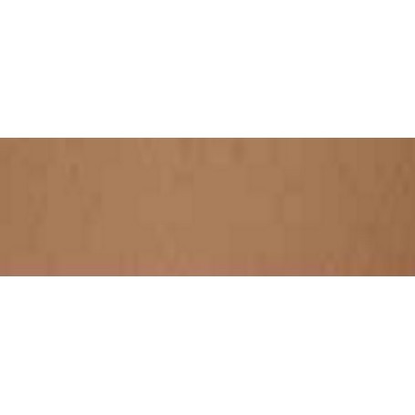 Favini Bristol Color 200 cartone 10 fogli 200 g/m² (A3580A1)
