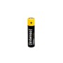 Intenso 7501910 batteria per uso domestico Batteria monouso Mini Stilo AAA Alcalino (7501910)