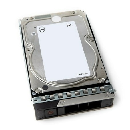 DELL 161-BCJX disco rigido interno 3.5" 12 TB NL-SAS (161-BCJX)