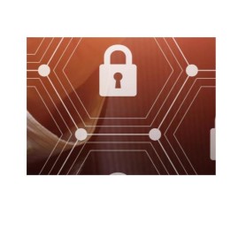 EMAIL PROT MNGMT VIAAPI(SRVC & LIC) (CAP-EML-SEC)