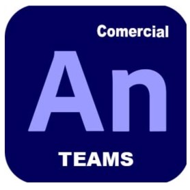 ANIMATE_TEAMS_MULTI (65305521CA01A12)