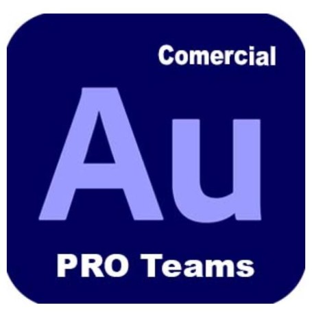 AUDITION - PRO TEAMS MULTI (65324901CA01A12)
