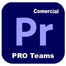PREMIERPRO TEAMS ML NEW GOV (30003019CC01A12)