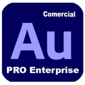 AUDITION - PRO ENTERPRISE MULTI (65324893CA01A12)