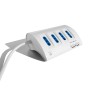 Ewent EW3934 prolunghe e multiple 2 m 5 presa(e) AC Interno Blu, Bianco (CEEW3934)