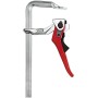 Hebelzwinge classiX GSH25 (silber/rot, 250 / 120)