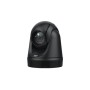 AVer DL30 webcam 2 MP 1920 x 1080 Pixel USB Nero (61S5000000AC)