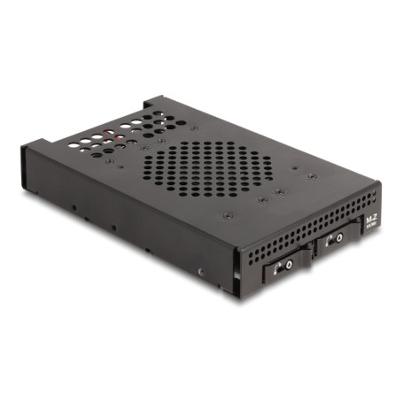 DeLOCK Rack mobile da 3.5″ per 2 x M.2 NVMe SSD con connettore Slim SAS SFF-8654 (47117)