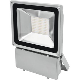 EUROLITE LED IP FL-100 6400K (51914780)