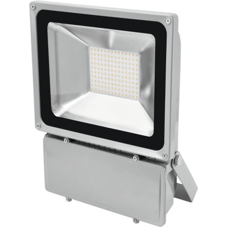 EUROLITE LED IP FL-100 6400K (51914780)