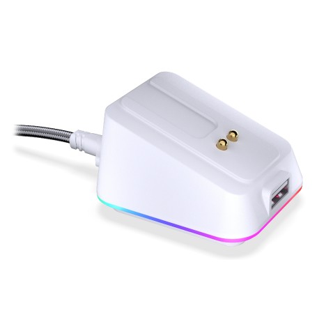 ENDORFY EY0F002 mouse Casa Ambidestro RF Wireless + USB Type-A