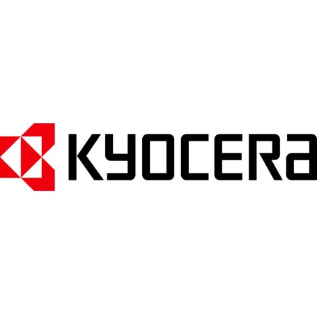KYOCERA KYOsafe, 5Y (870KSIYY60P)