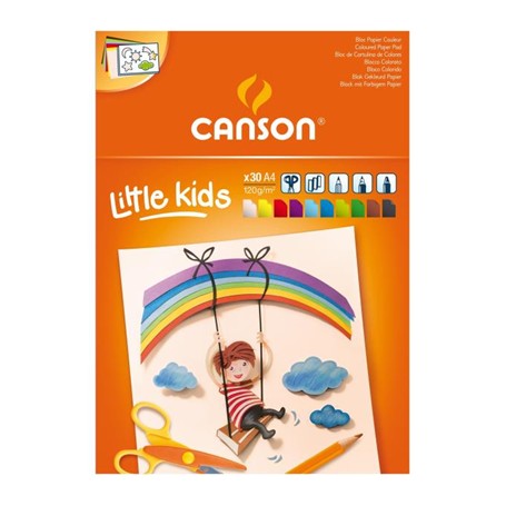 Canson C400015600 carta da disegno Foglio d'arte 30 fogli (C400015600)
