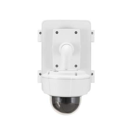 Axis T98A18-VE Custodia e supporto (5900-181)
