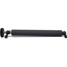 KIT PLATEN ROLLER WITH BEARING (P1080383-700)