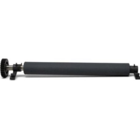 KIT PLATEN ROLLER WITH BEARING (P1080383-700)