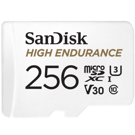 SanDisk High Endurance 256 GB MicroSDXC UHS-I Classe 10 (SDSQQNR-256G-GN6IA)