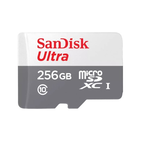 SanDisk Ultra 256 GB MicroSDXC UHS-I Classe 10 (SDSQUNR-256G-GN3MN)