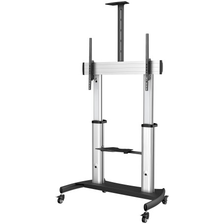 StarTech.com Mobile TV Stand girevole su ruote - Carrello porta TV resistente per schermi da 60-100" (100kg) - Supp (STNDMTV100)
