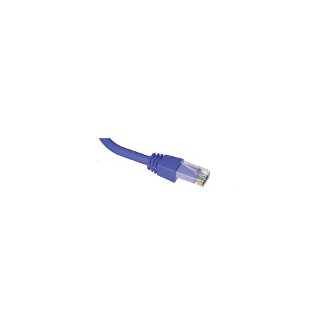 Brand-Rex C6CPCU050-444BB cavo di rete Blu 5 m Cat6+ U/UTP (UTP)