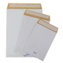 CF100 SACCHETTI SECURSAC 23X33 (0941)