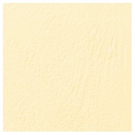 GBC Copertine rilegatura LeatherGrain 250 gsm A4 avorio (100) (CE040065)