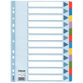 Esselte Intercalare in cartoncino con tasti Mylar rinforzati A4 (100169)