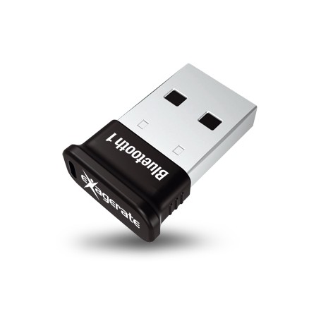 Hamlet Adattatore Baby Bluetooth usb classe 1, 50 metri colore nero (XBTUS100BK)