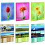 Lebez 2742 album fotografico e portalistino Multicolore 20 fogli 10 x 15 cm (2742)