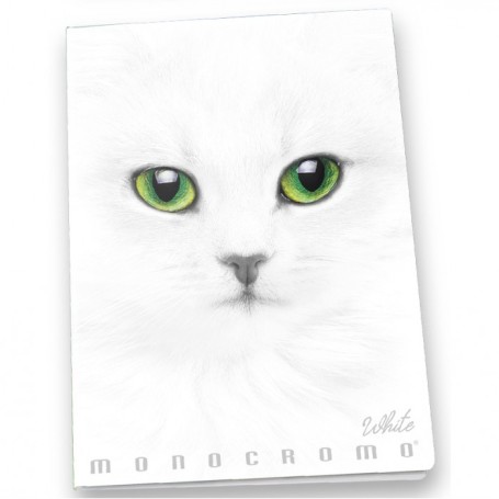 Pigna Monocromo quaderno per scrivere A4 19 fogli Bianco (02303370C)