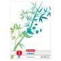 Arbeitsblock A4 GREENline 50 Blatt Lineatur 03 Motiv Panda, College Block (liniert, A4) (50039913)