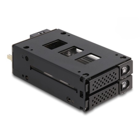 DeLOCK Bay rack mobile sottile per 2 x SSD da 2.5″ U.2 NVMe (47019)