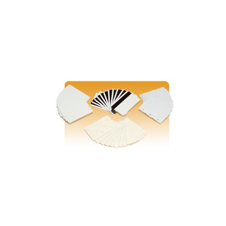 Zebra Premier PVC Card (500 Pack) (104523-020)