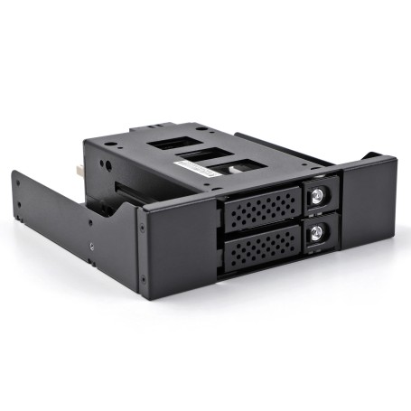 DeLOCK Bay rack mobile sottile per 2 x SSD da 2.5″ U.2 NVMe con telaio da 5.25″ (47011)