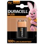 Duracell Plus 100 Batteria monouso Alcalino (142190)
