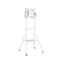 Hagor 8232 supporto da tavolo per Tv a schermo piatto 139,7 cm (55") Bianco (8232)