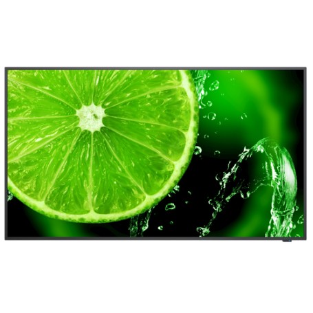NEC MultiSync E658 165,1 cm (65") IPS 4K Ultra HD Nero (60005059)