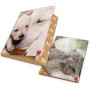 CF6 CART 3LEMBI DOLCI CUCCIO D1,2 (02326373L)