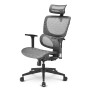 Sharkoon OfficePal C30M Seduta in rete Schienale a rete (OFFICEPAL C30M)