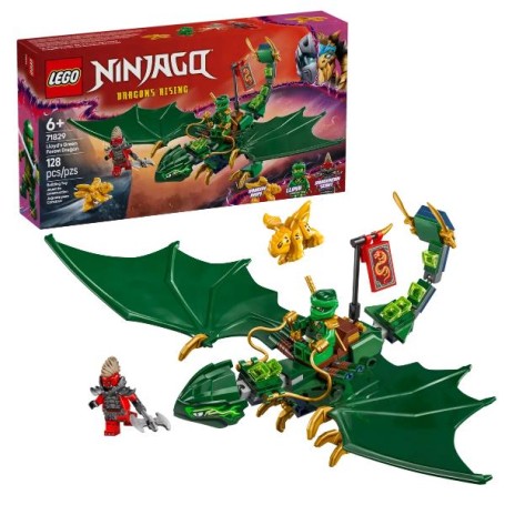 DRAGO DELLA FORESTA VERDE DI LLOYD (71829)