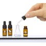 Miniverse Make It Mini Fragrances in PDQ (547037-EUC)