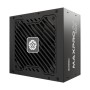 MAXPRO IV EMP550W (schwarz, 2x PCIe, 550 Watt)